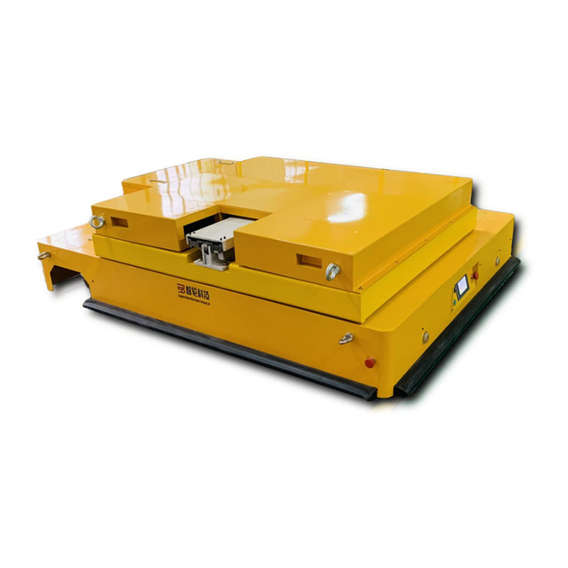 Platform carrier